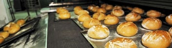 Bakery rolls on production line