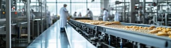 Food travelling on conveyor in food factory