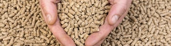 Hands sifting through animal feed pellets