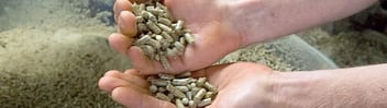 Hands holding animal feed pellets.