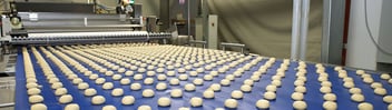 Dough balls on conveyor in food factory