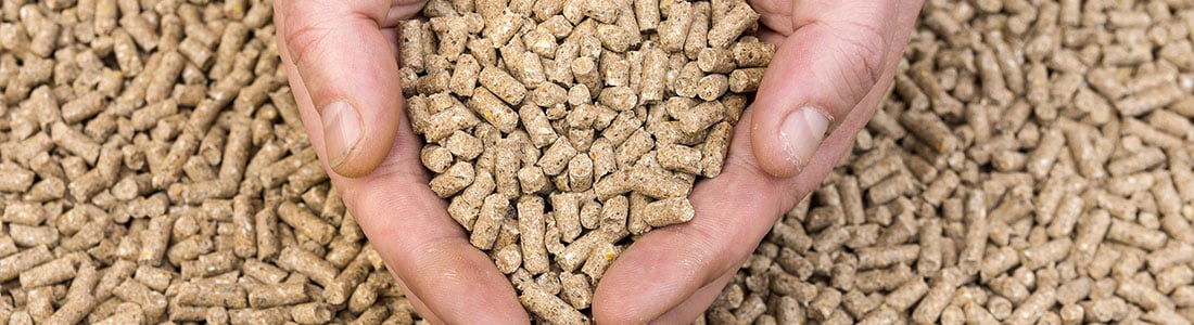Enhancing Animal Pellet Feed Sector Reliability featured image