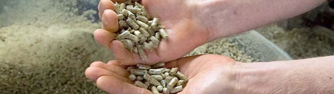 Food-Grade Lubricants in Animal Feed Pellet Manufacturing featured image